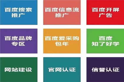 行业领先企业的SEM优化之路